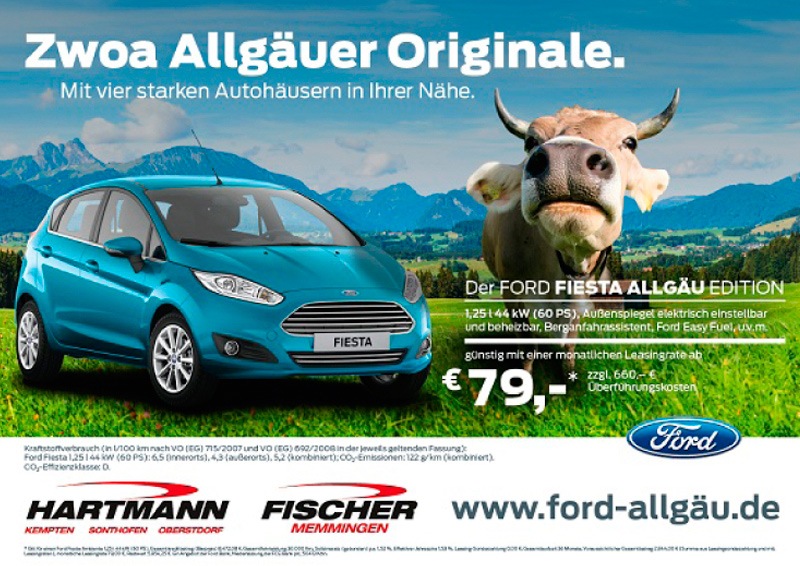 Hartmann Fischer Motiv Ford Fiesta